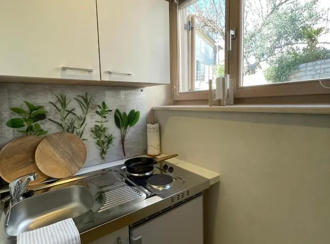 Διαμέρισμα Old Town Luxury Ρόβινι